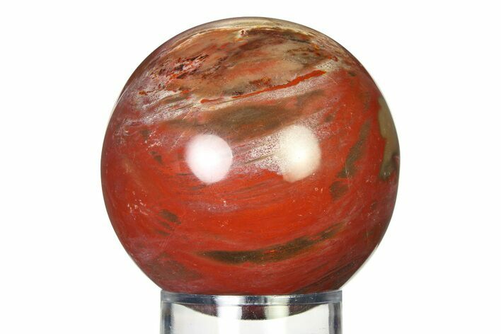 Colorful Petrified Wood (Araucaria) Sphere - Madagascar #317299